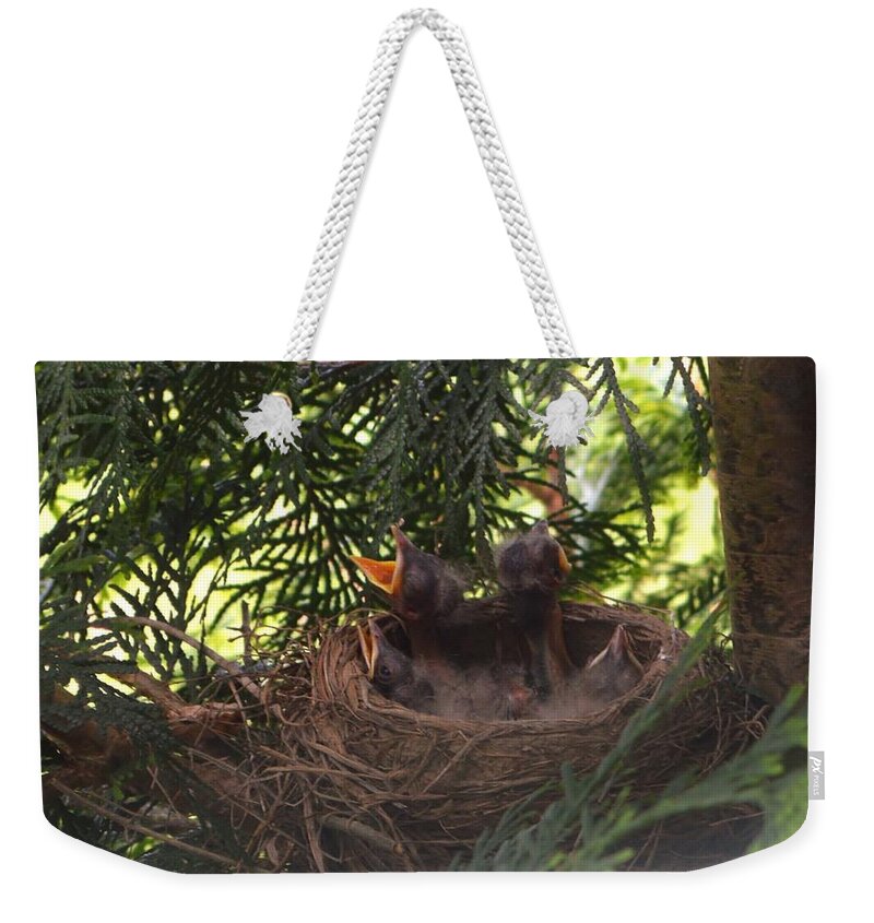 Featured Weekender Tote Bag featuring the photograph Hungry Babies by Stacie Siemsen