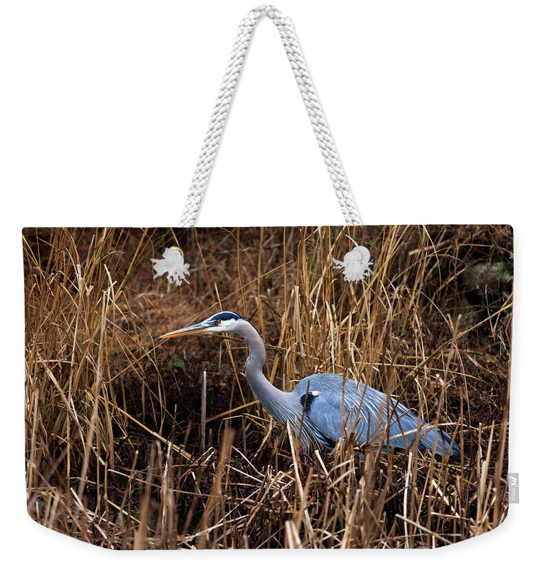 Great Weekender Tote Bag featuring the photograph Hunting Heron by Travis Rogers