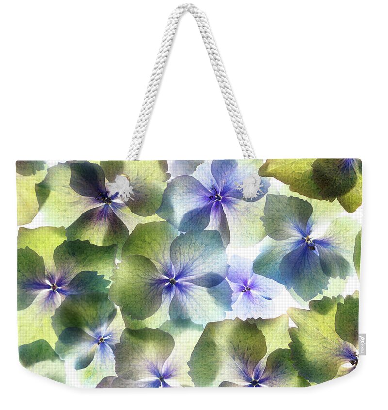 Hydrangea Weekender Tote Bag featuring the photograph Hydrangae Squared by Rebecca Cozart