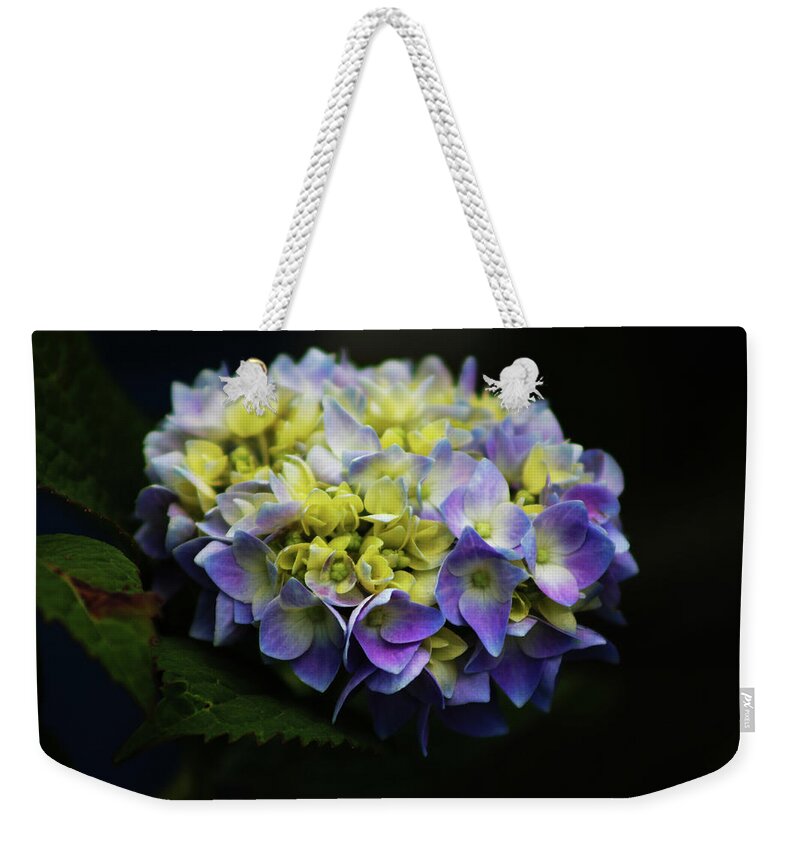 Hydrangea Flowers Weekender Tote Bag featuring the photograph Hydrangea 3705 H_2 by Steven Ward