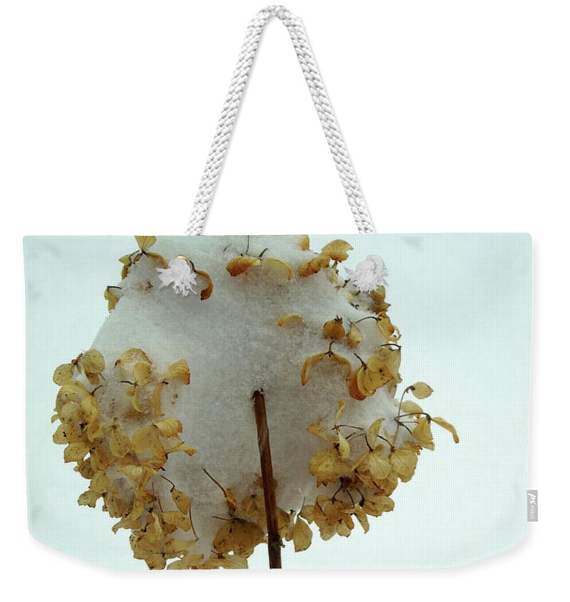 Snowy Weekender Tote Bag featuring the photograph Hydrangea Blossom in Snow by Susan Lafleur