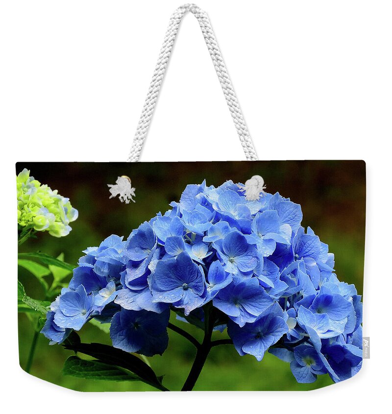 Hydrangea Weekender Tote Bag featuring the photograph Hydrangea in Blue by Linda Stern