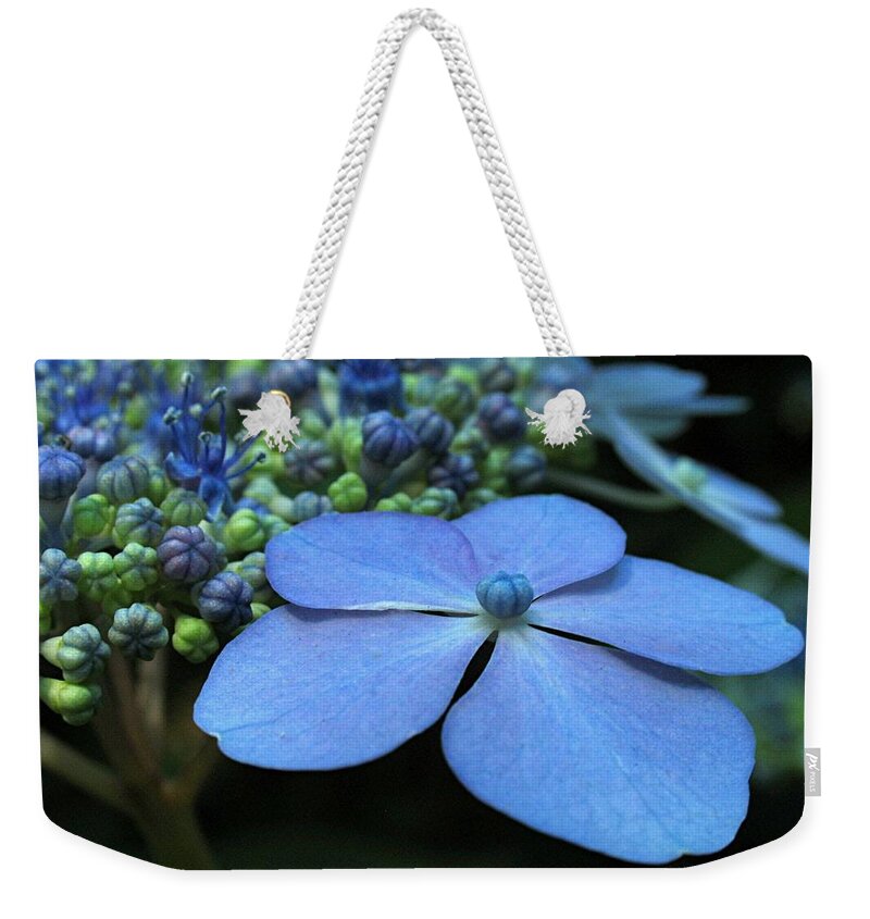 Flower Weekender Tote Bag featuring the photograph Hydrangea by Juergen Roth