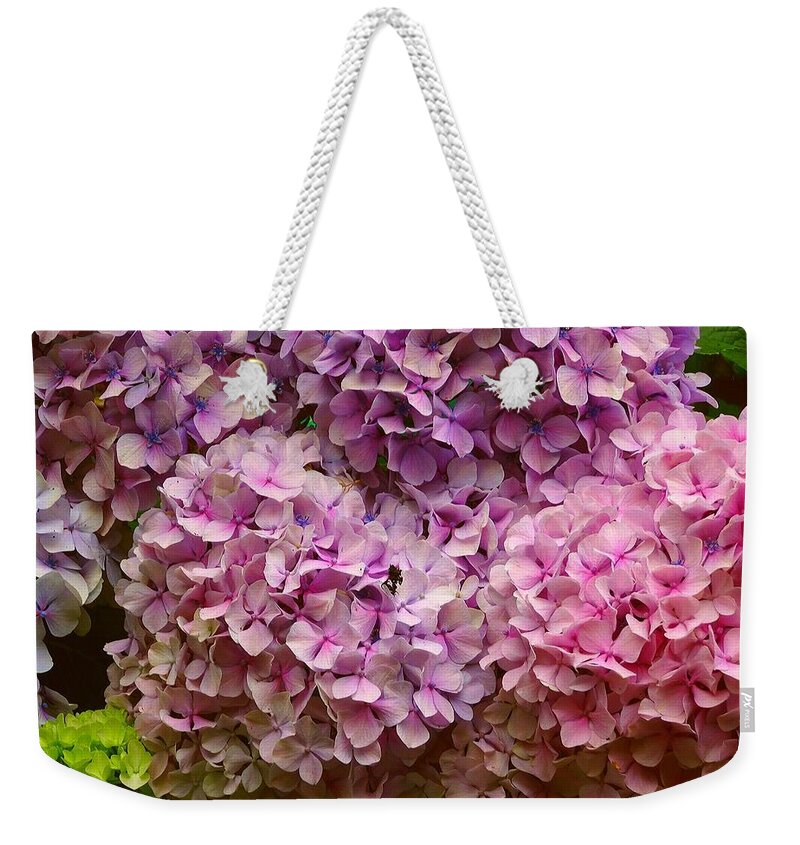 Hydrangea Weekender Tote Bag featuring the photograph Hydrangeas galore by Susan Baker