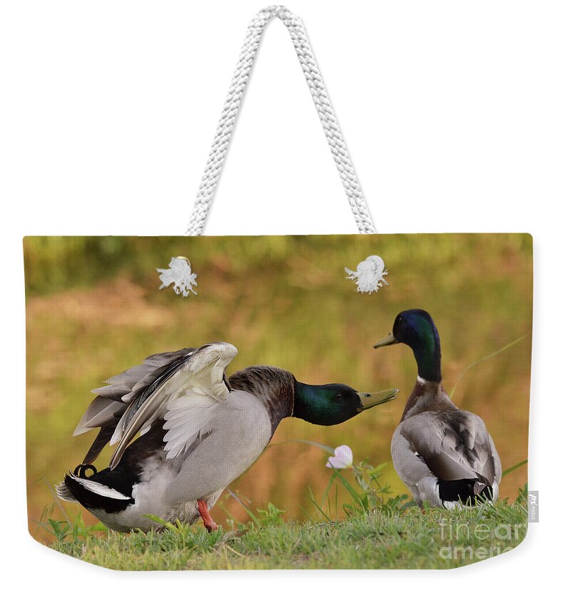 Duck Weekender Tote Bag featuring the photograph I Am In Charge Here by Debby Pueschel