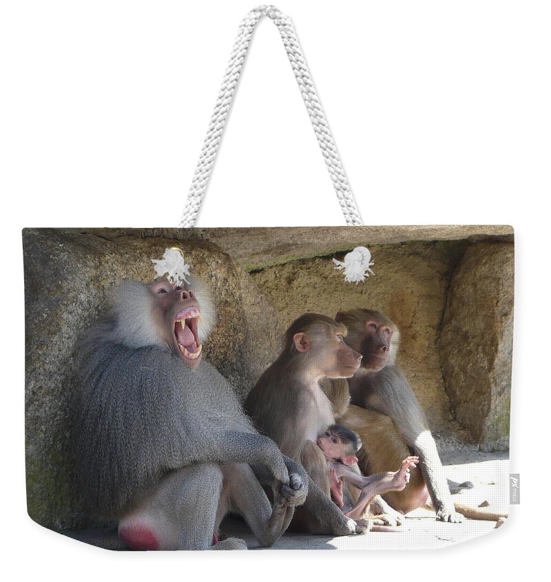 Animal Weekender Tote Bag featuring the photograph I am The King here by Valerie Ornstein