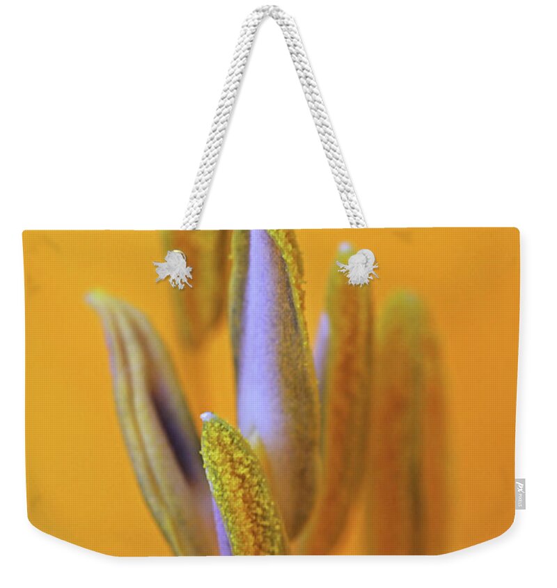 Abstract Weekender Tote Bag featuring the photograph I Can Lift You Up by Juergen Roth