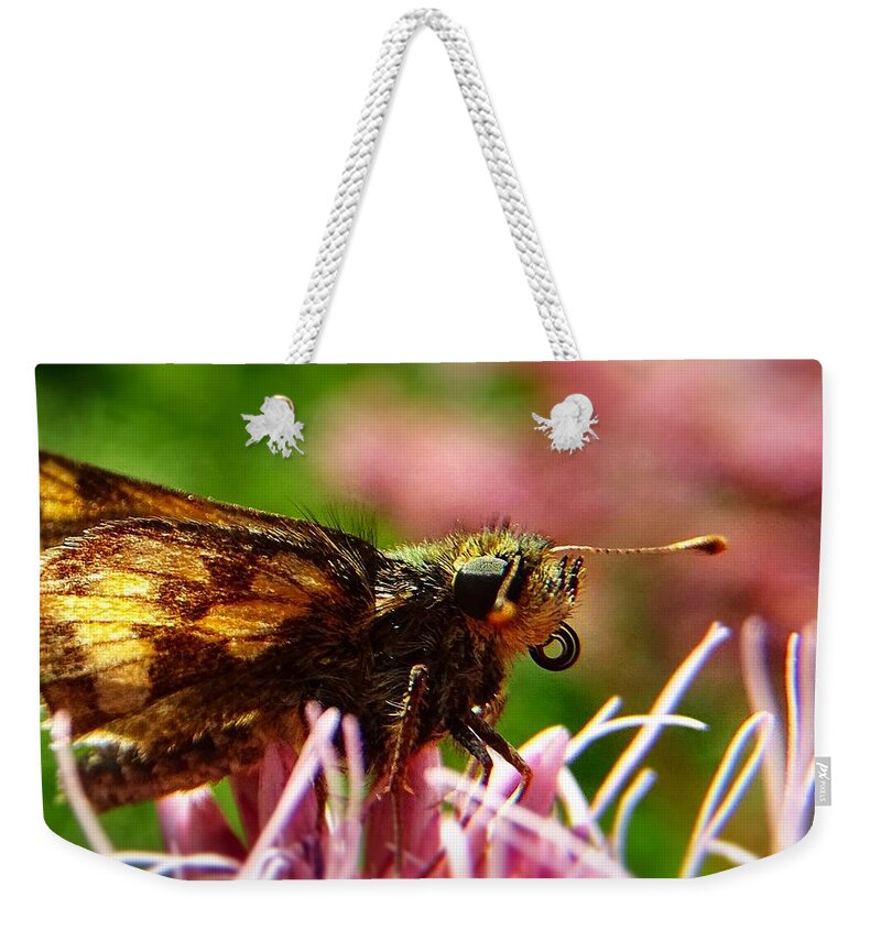 Butterfly Weekender Tote Bag featuring the photograph I can see you by Lilia S