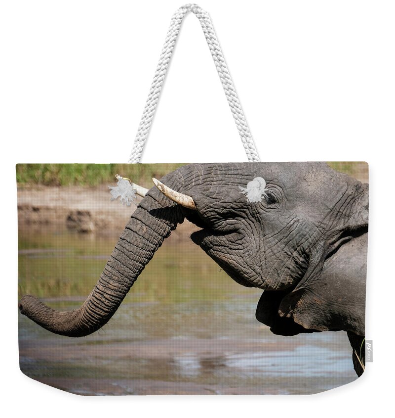 Africa Weekender Tote Bag featuring the photograph I Feel Happy by Mary Lee Dereske