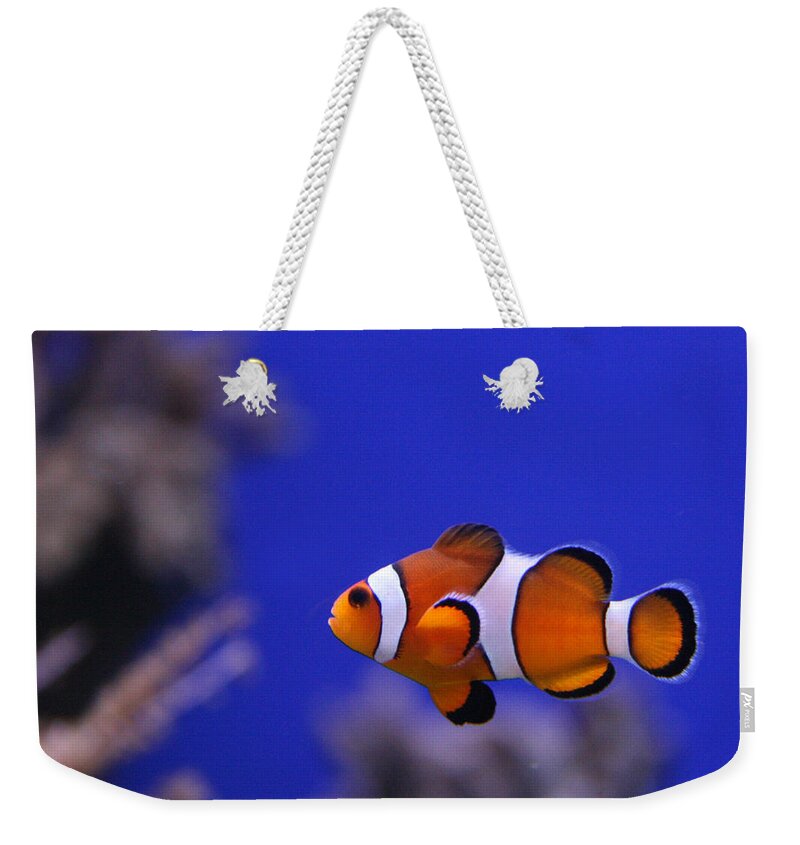 Nemo Weekender Tote Bag featuring the photograph I Found Him by George Jones