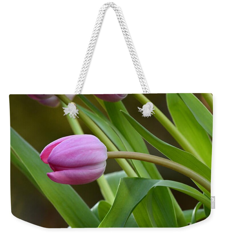 Beautiful Weekender Tote Bag featuring the photograph I Love Pink by Ann Bridges