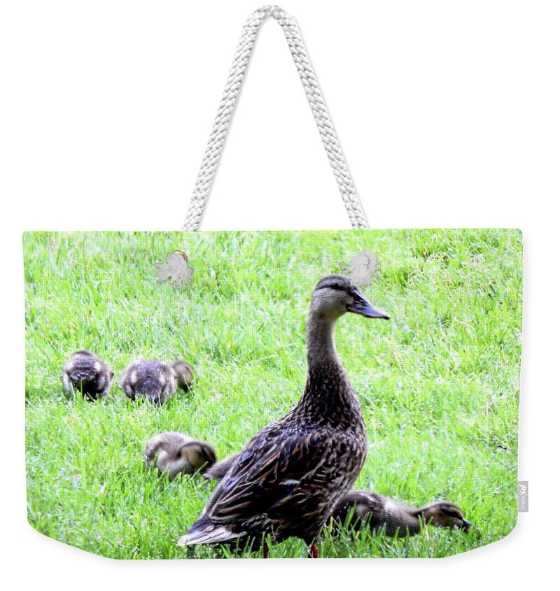 Summer Weekender Tote Bag featuring the photograph I Need A Vacation by Wild Thing