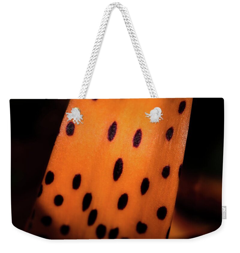 Jay Stockhaus Weekender Tote Bag featuring the photograph I See Spots by Jay Stockhaus