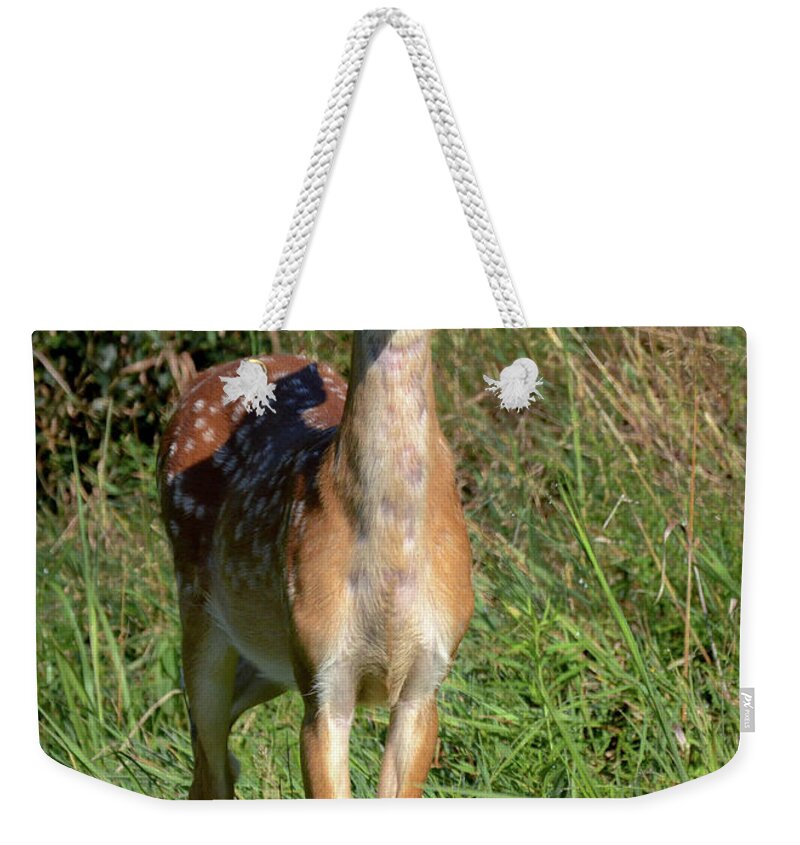 Deer Weekender Tote Bag featuring the photograph I See You by Amy Porter