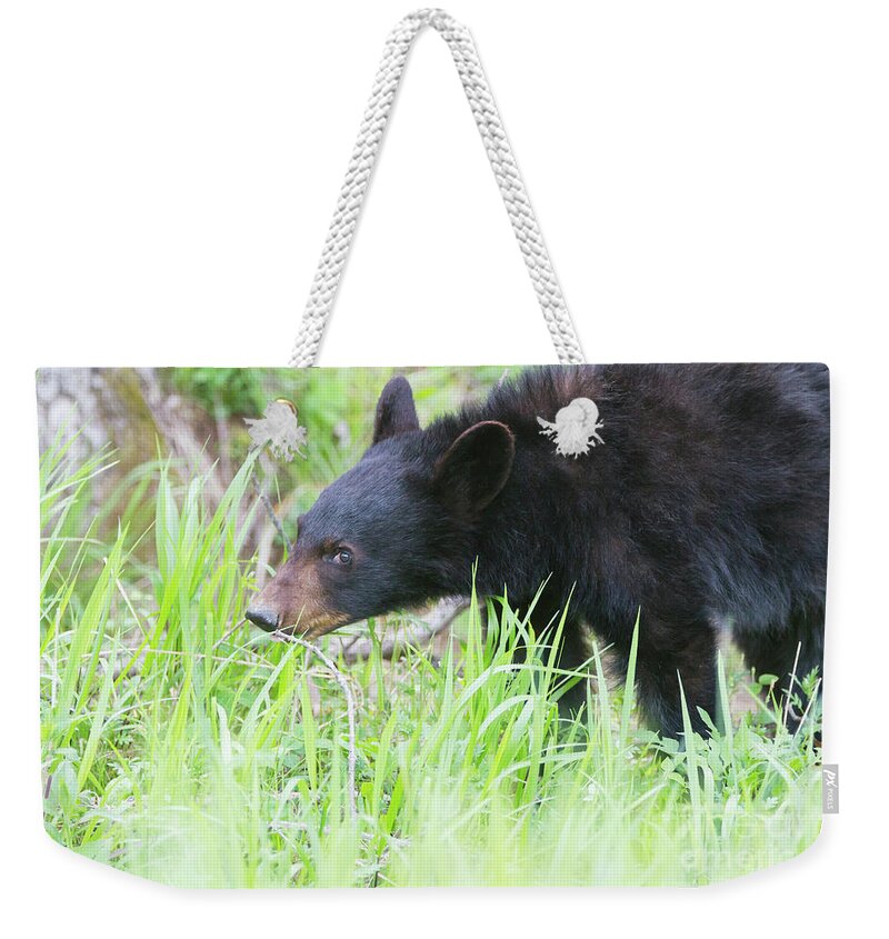 Bear Weekender Tote Bag featuring the photograph I See You Little Bear by Chris Scroggins