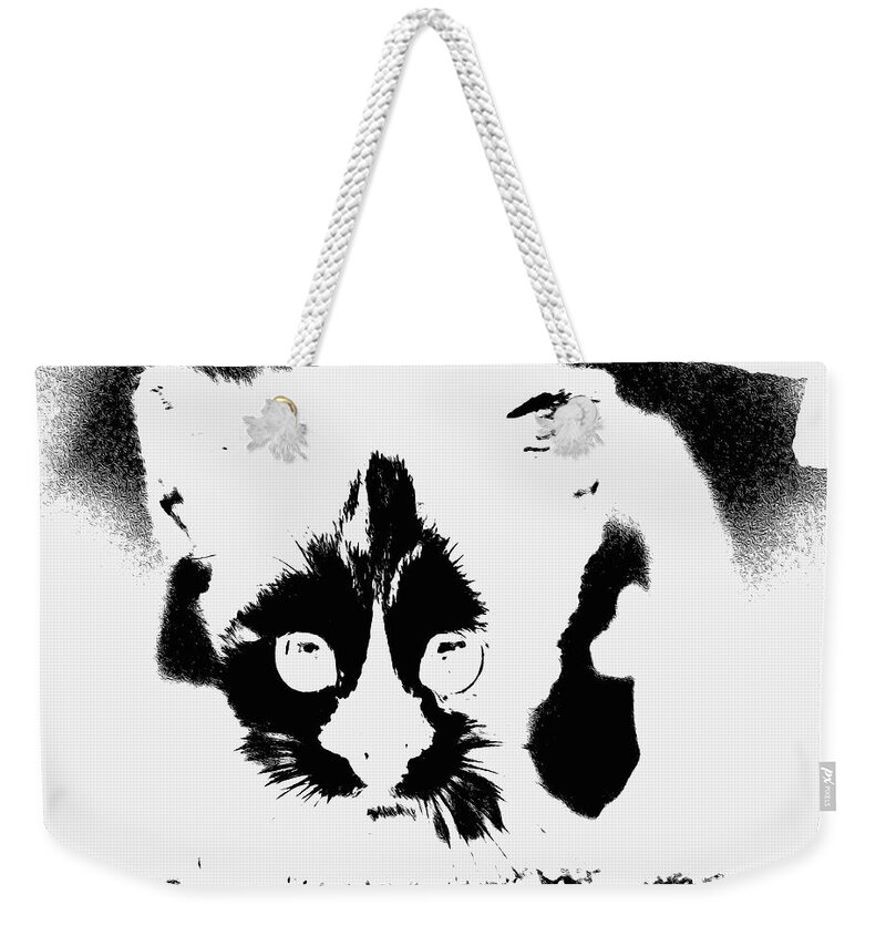 Black Andd White Weekender Tote Bag featuring the painting    I See You by Virginia Bond