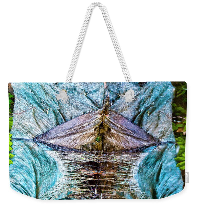 Reflection Weekender Tote Bag featuring the photograph I Thor by Tom Cameron