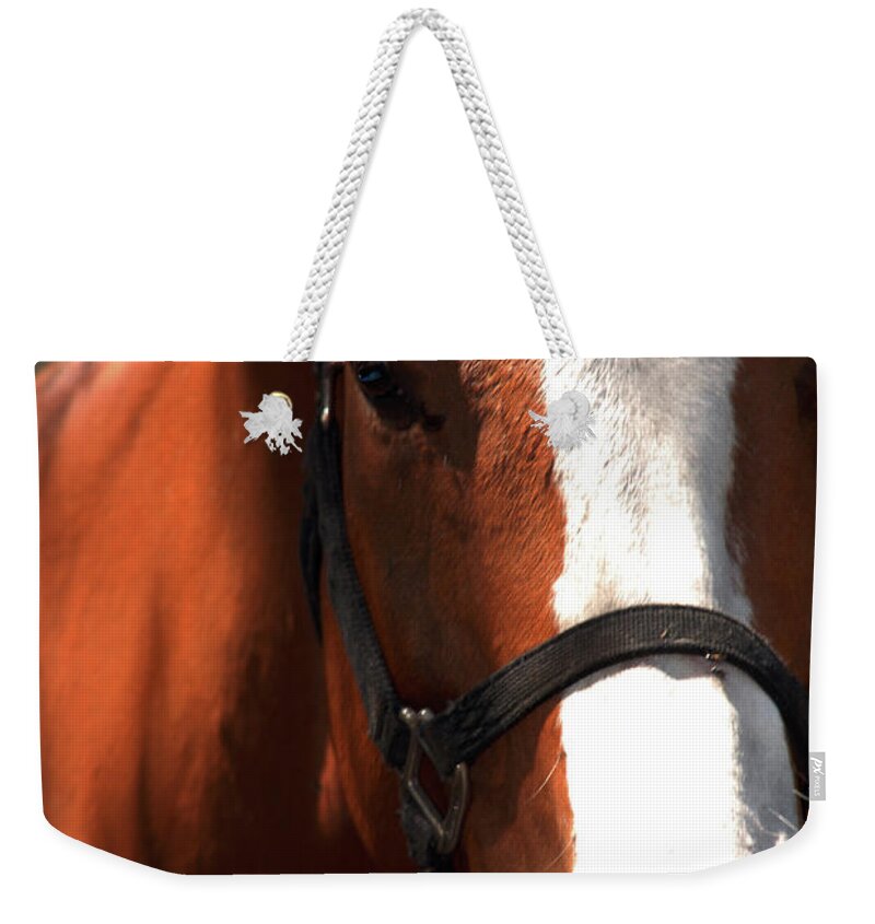 Horse Weekender Tote Bag featuring the photograph I was waiting for you by Susanne Van Hulst