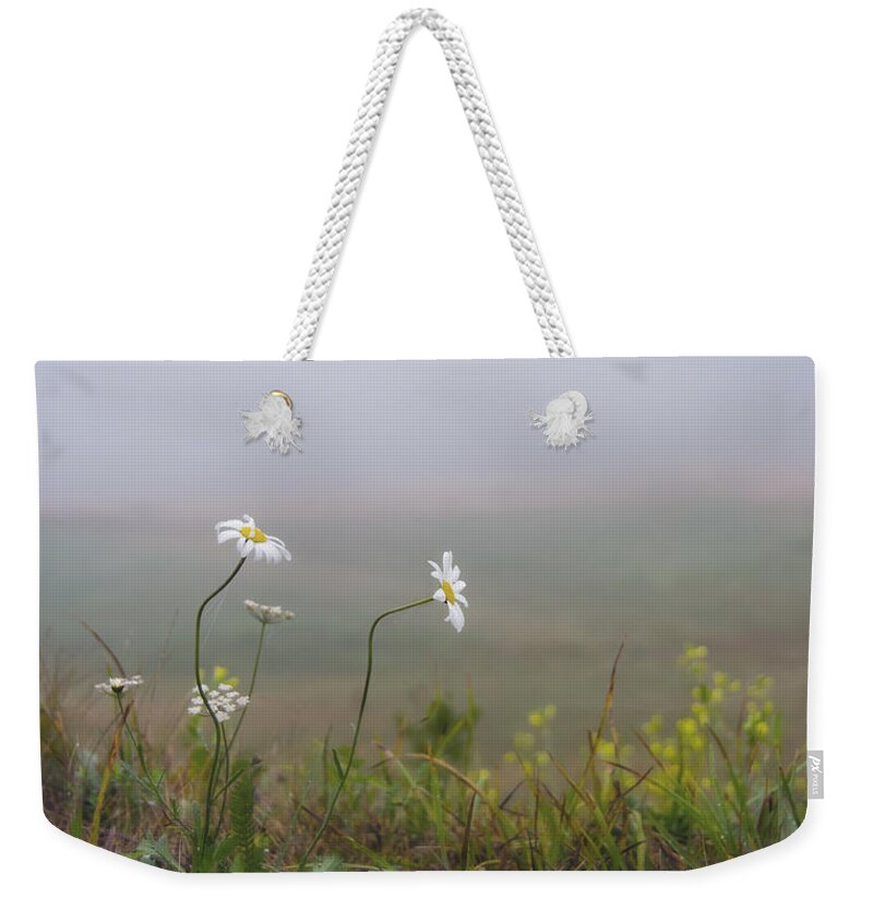 2015 Weekender Tote Bag featuring the photograph I Watched You Walk Away by Sandra Parlow
