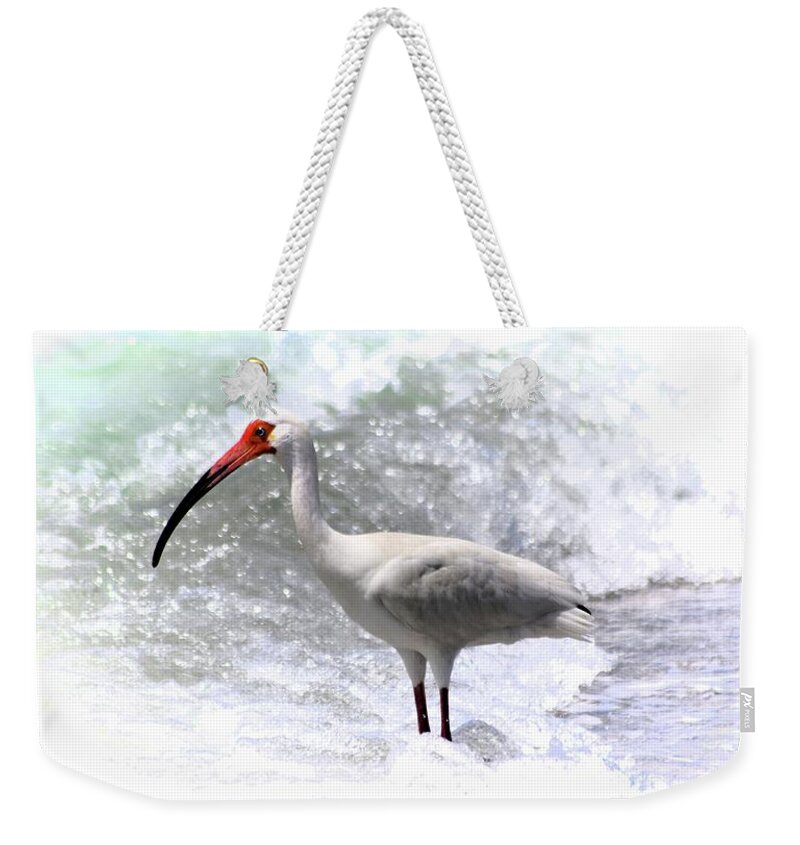 Ibis Surf Weekender Tote Bag featuring the photograph Ibis Surf by Sheri McLeroy