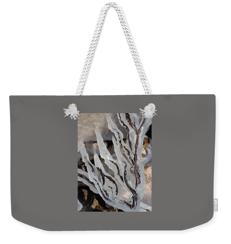 Ice Weekender Tote Bag featuring the photograph Ice Branches by Annekathrin Hansen