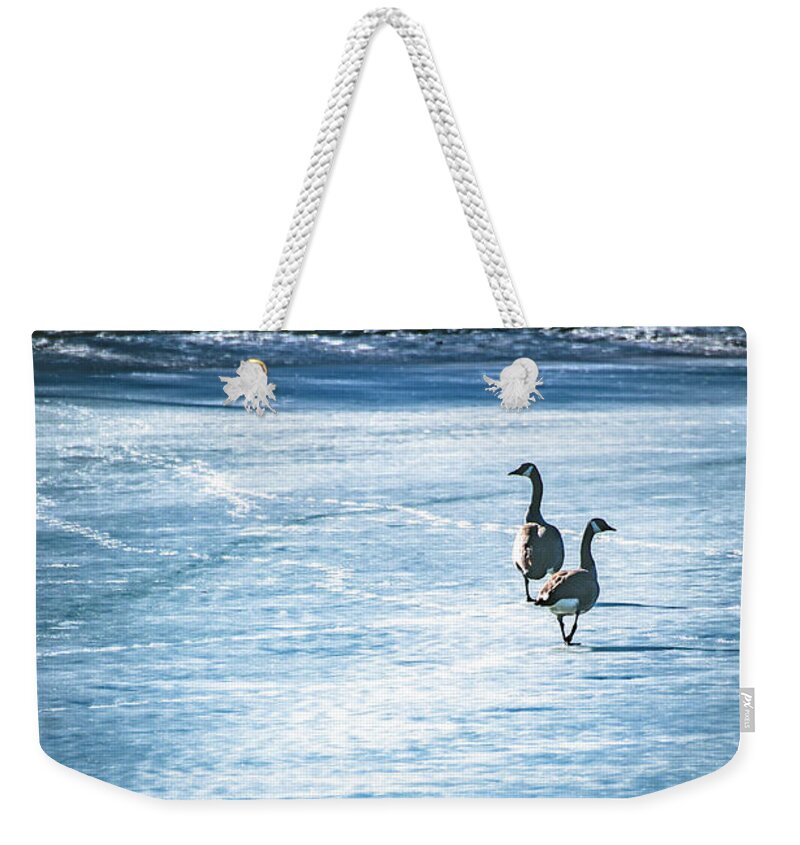 Winter Weekender Tote Bag featuring the photograph Ice Walkers by Pamela Williams