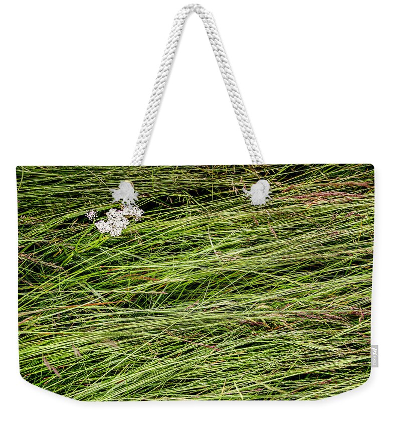 Iceland Weekender Tote Bag featuring the photograph Icelandic Summer Flowers by KG Thienemann