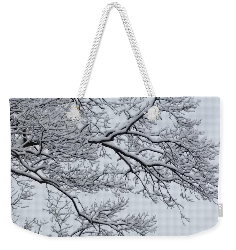 Ice Weekender Tote Bag featuring the photograph Icey Winter Branch by Vic Ritchey