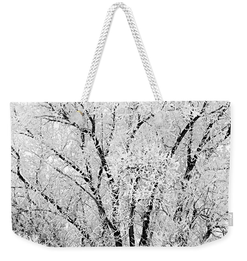 Icy Weekender Tote Bag featuring the photograph Icy Tree by Susan Kinney
