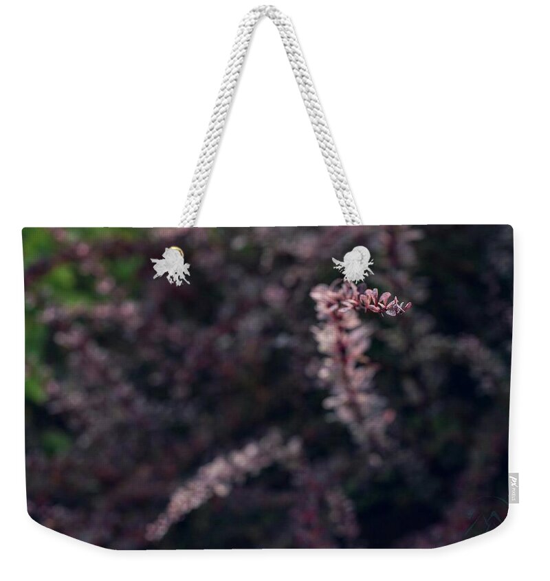 Plants Weekender Tote Bag featuring the photograph Rise by Gene Garnace