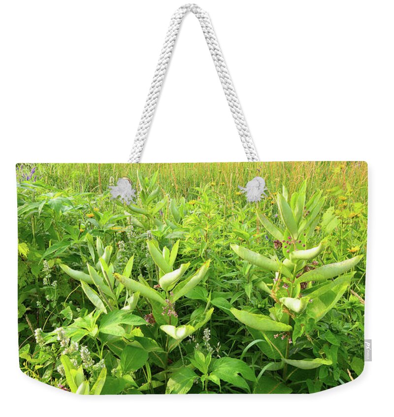 Black Eyed Susan Weekender Tote Bag featuring the photograph Illinois Native Prairie by Ray Mathis