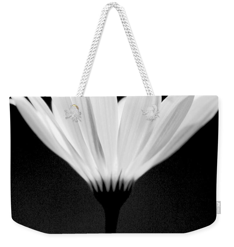 Flower Weekender Tote Bag featuring the photograph Illuminated Lady by Julie Lueders 