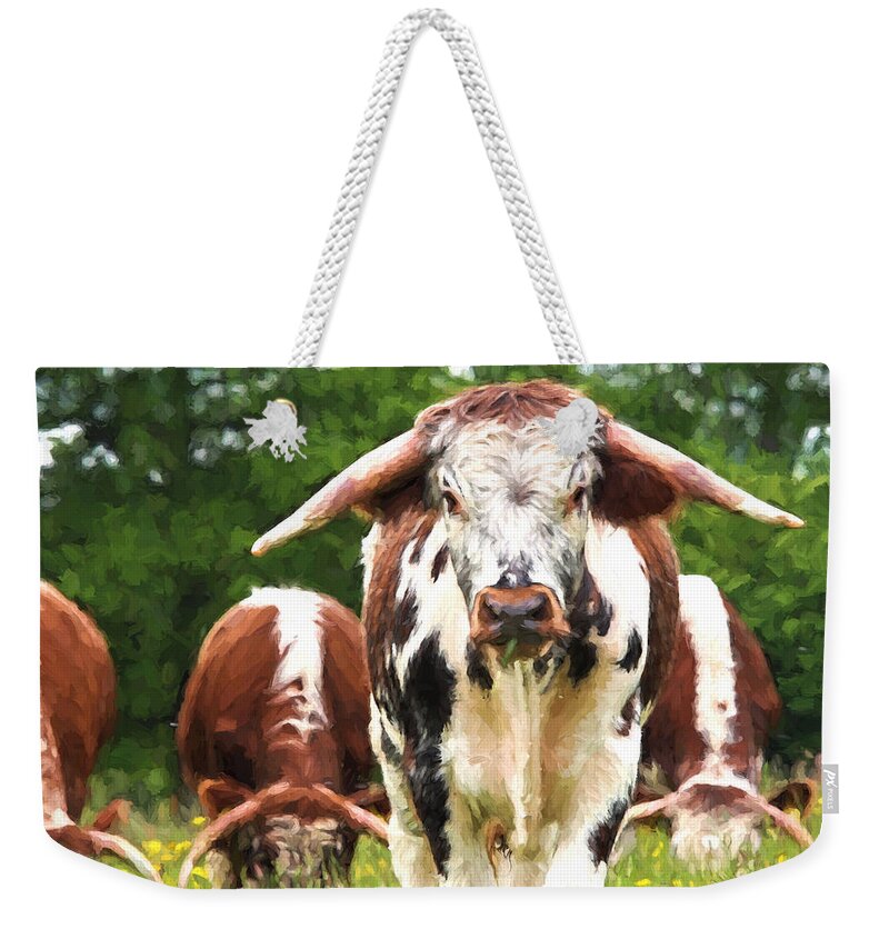 English Longhorn Cow Weekender Tote Bag featuring the photograph I'm In Charge Here by Gill Billington