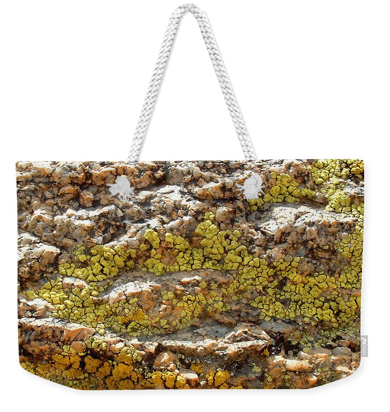 Lichens Weekender Tote Bag featuring the photograph I'm Lichen That by Stan Magnan