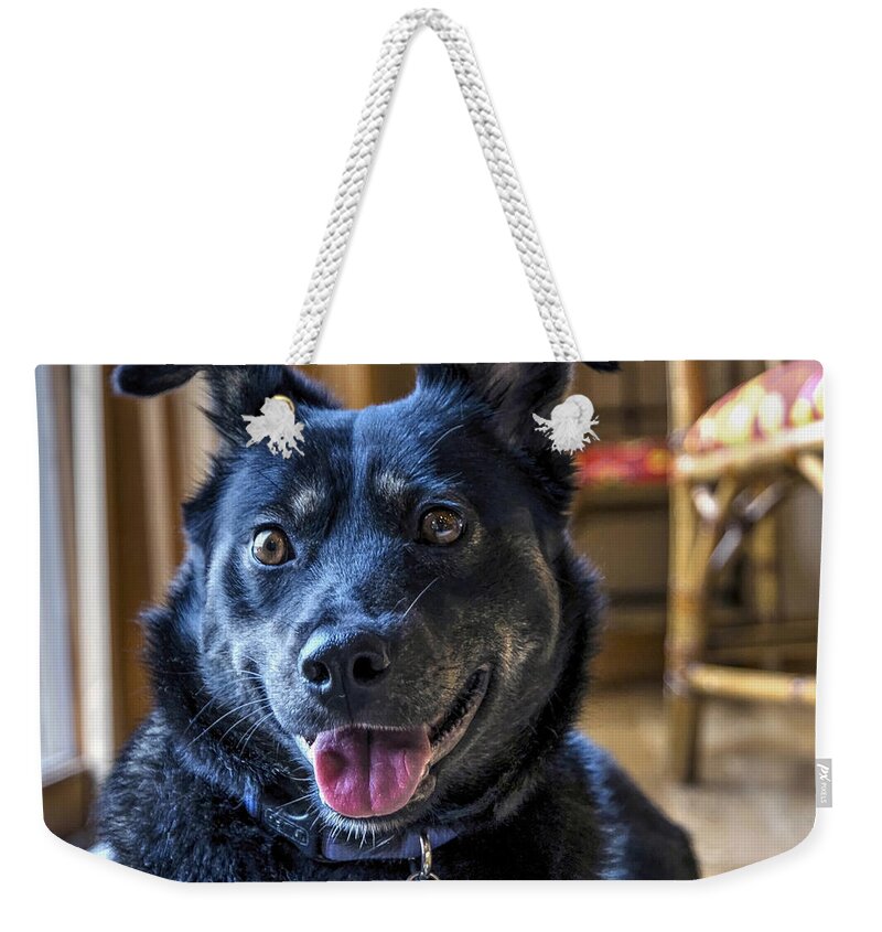 Dog Weekender Tote Bag featuring the photograph Ready When You Are by Keith Armstrong