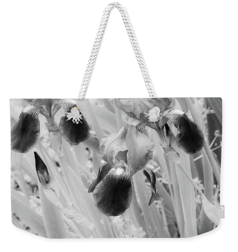 Iris Weekender Tote Bag featuring the photograph Imagination by James Breedlove
