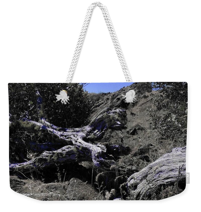Driftwood Weekender Tote Bag featuring the photograph Imbued by Vincent Green