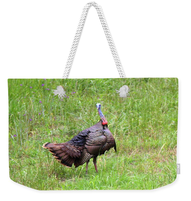Wild Turkey Weekender Tote Bag featuring the photograph IMG_0961 - Wild Turkey by Travis Truelove