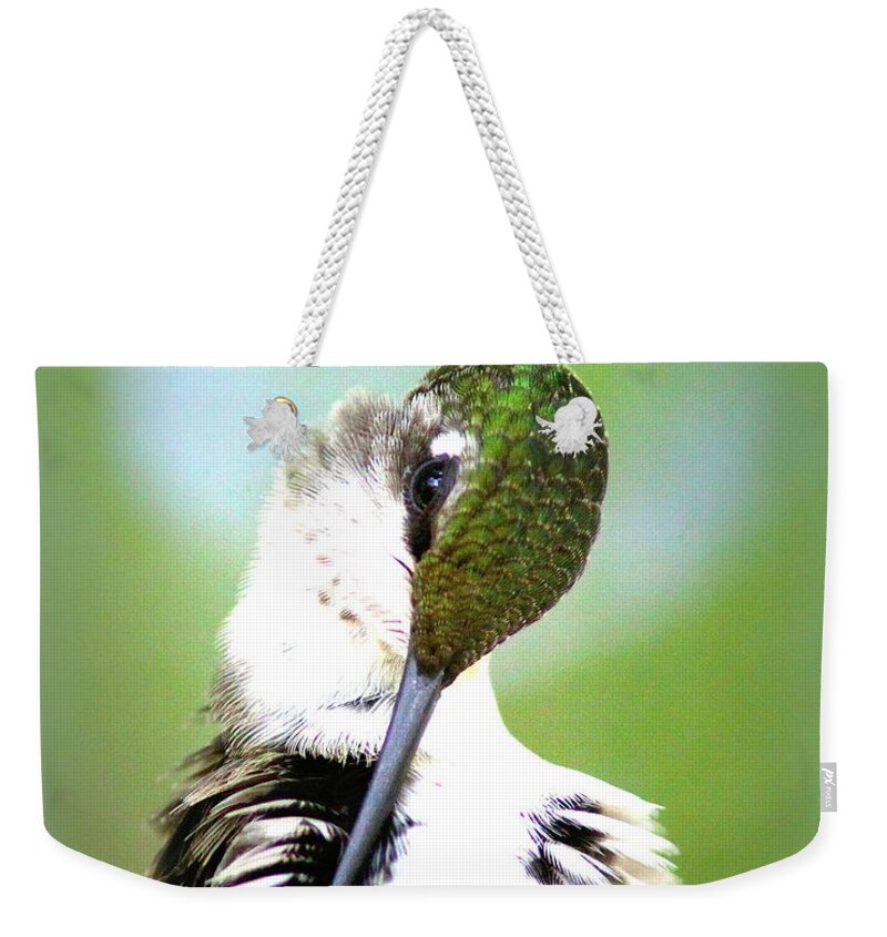 Ruby-throated Hummingbird Weekender Tote Bag featuring the photograph IMG_5531-001 - Ruby-throated Hummingbird by Travis Truelove