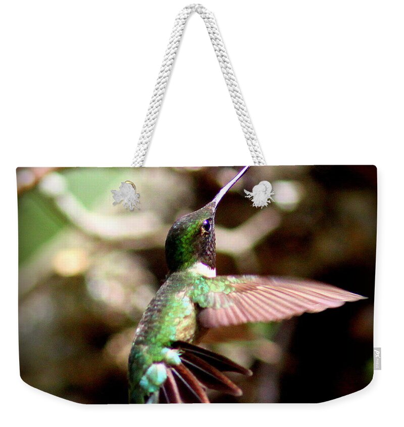 Ruby-throated Hummingbird Weekender Tote Bag featuring the photograph IMG_5776-001 - Ruby-throated Hummingbird by Travis Truelove