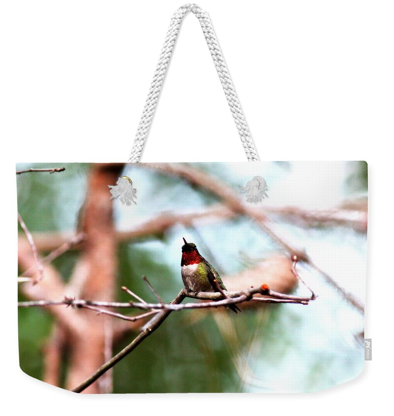 Ruby-throated Hummingbird Weekender Tote Bag featuring the photograph IMG_6099 - Ruby-throated Hummingbird by Travis Truelove