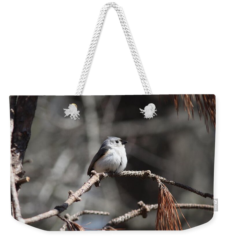 Tufted Titmouse Weekender Tote Bag featuring the photograph IMG_7022-005 - Tufted Titmouse by Travis Truelove
