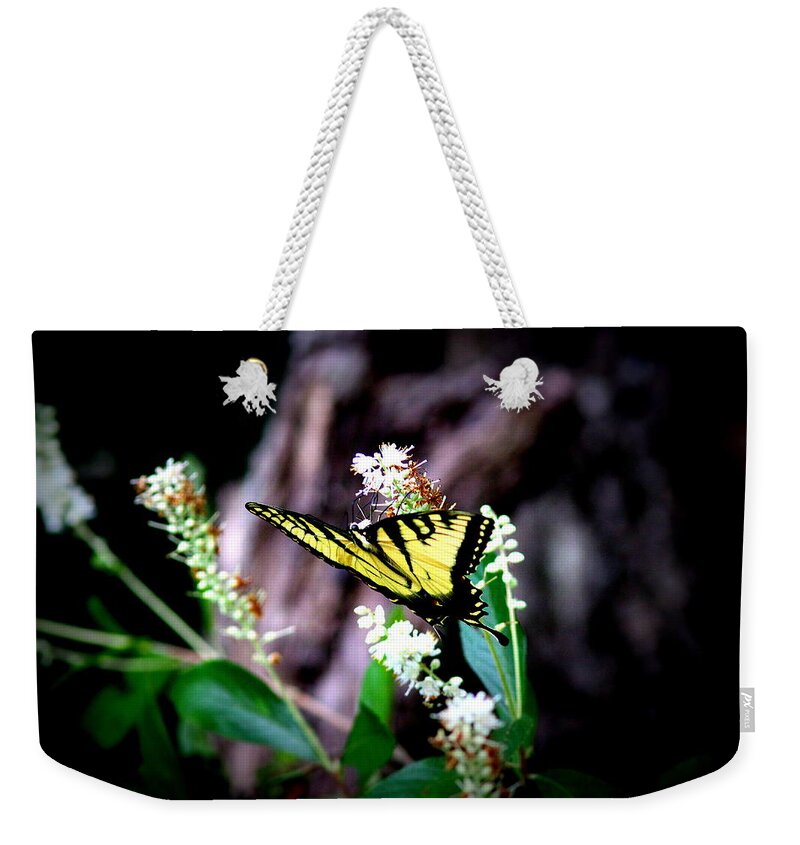 Tiger Swallowtail Butterfly Weekender Tote Bag featuring the photograph IMG_8960 - Tiger Swallowtail Butterfly by Travis Truelove