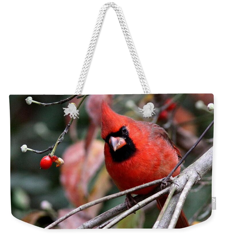 Northern Cardinal Weekender Tote Bag featuring the photograph IMG_9971-023 - Northern Cardinal by Travis Truelove