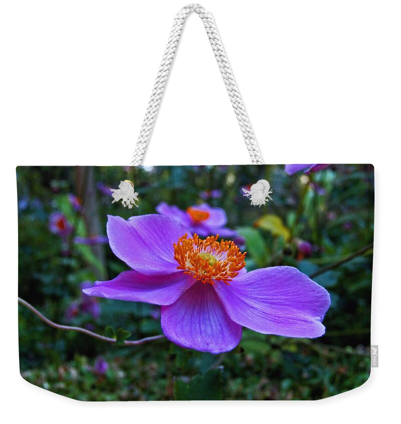 Clematis Weekender Tote Bag featuring the photograph Imminent Delight by Michiale Schneider