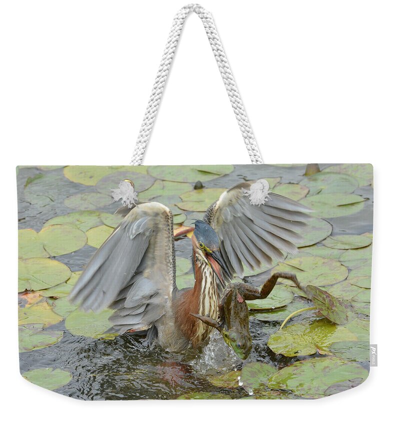 Little Green Heron Weekender Tote Bag featuring the photograph In A Flash 2 by Fraida Gutovich