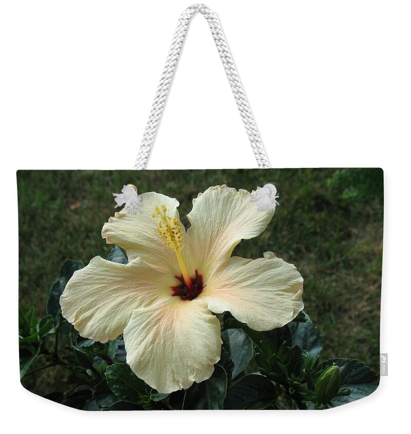 Flowers Weekender Tote Bag featuring the photograph In Bloom by Ed Smith