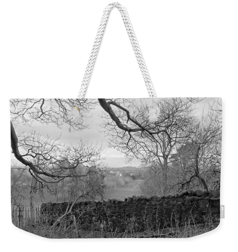 Bare Tree Weekender Tote Bag featuring the photograph In December. by Elena Perelman