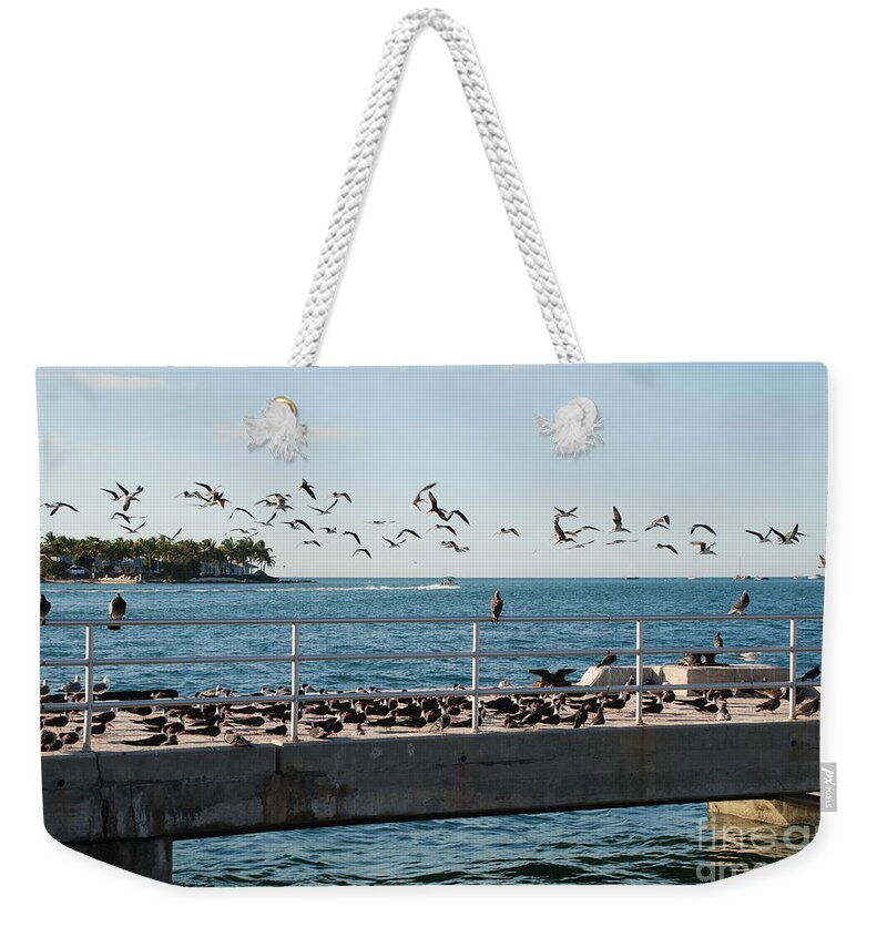 Birds Weekender Tote Bag featuring the photograph In Flight by Jim Goodman