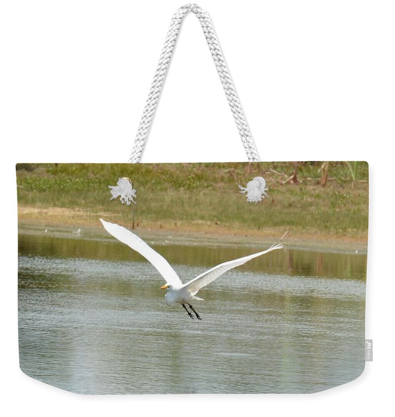 In Flight Weekender Tote Bag featuring the photograph In Flight by Maria Urso